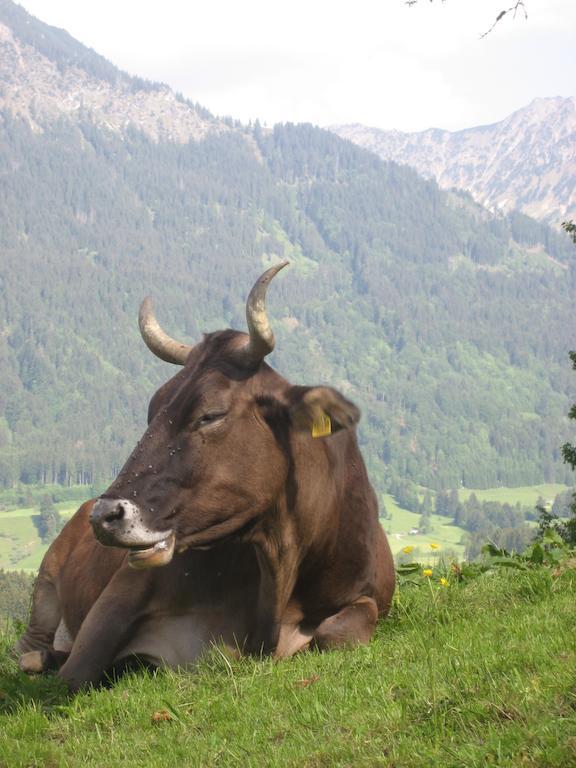 Ferienwohnungen Brunner Fischen im Allgaeu Zewnętrze zdjęcie